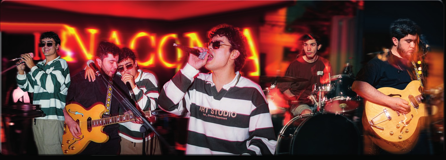 Fotografías de músicos y cantantes durante un show en vivo